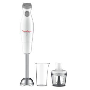 Moulinex - MIXER 450W Con Bicchiere-2Velocità-Piede in acciaio-